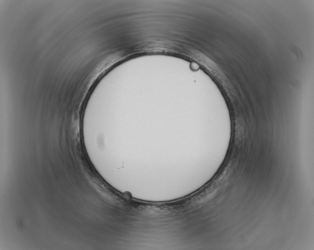 X0000114241234200911061541