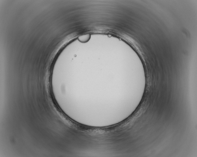 X0000114241235200911061541