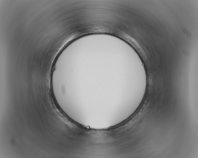 X0000114241236200911061541