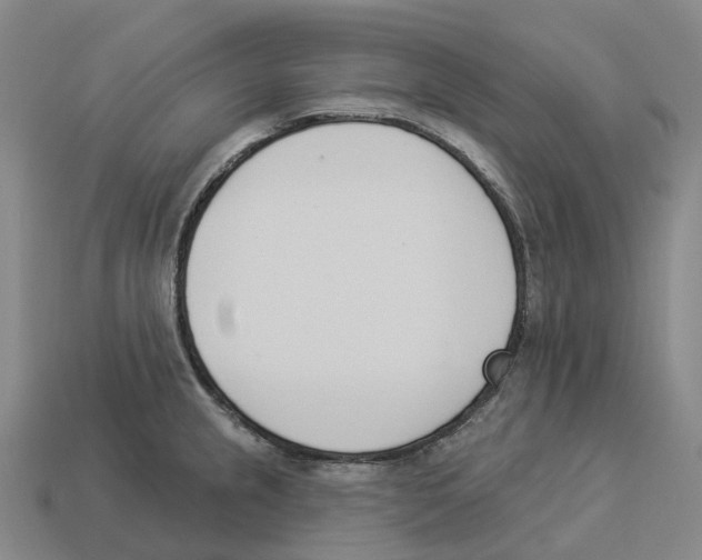 X0000114241237200911061541