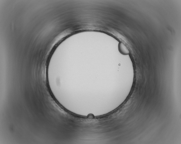X0000114241238200911061541