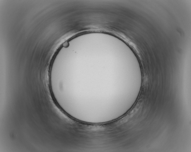 X0000114241239200911061541