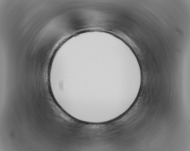 X0000114241240200911061541