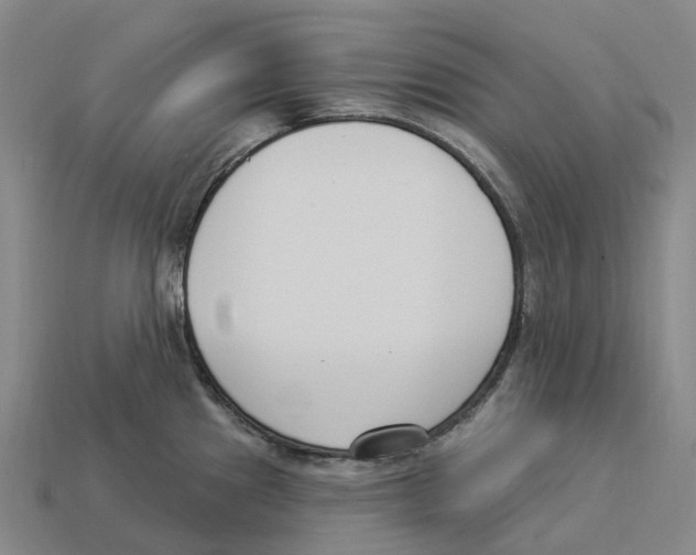 X0000114241241200911061541