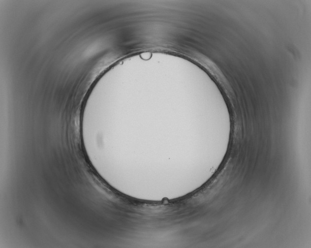 X0000114241242200911061541
