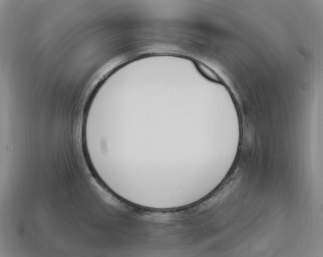 X0000114241245200911061541