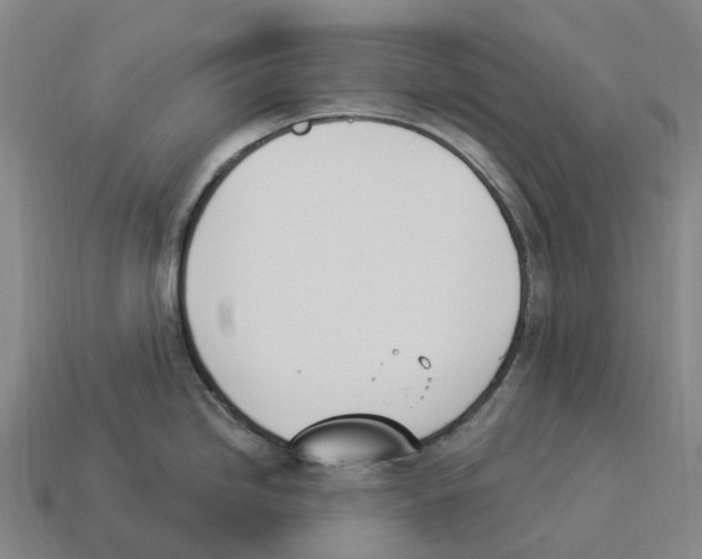 X0000114241246200911061541