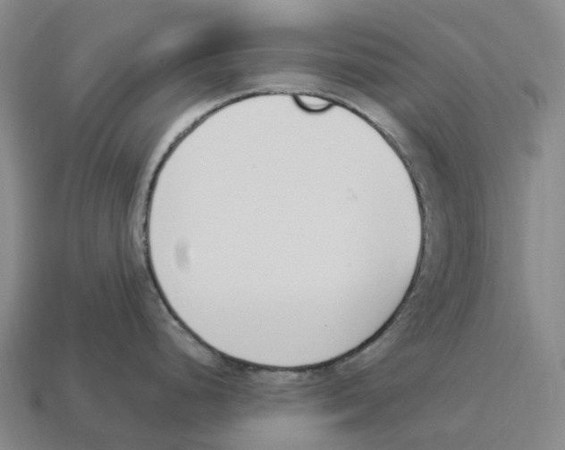 X0000114241248200911061541