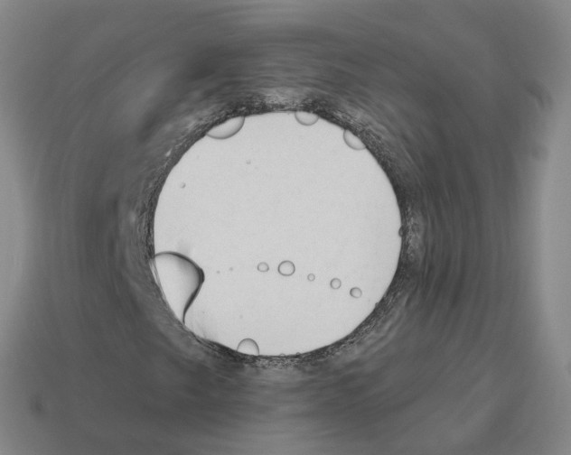 X0000114241249200911061541