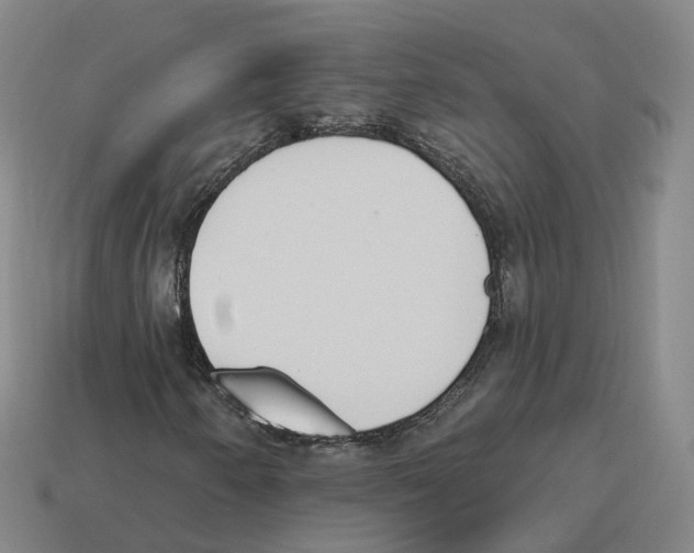 X0000114241250200911061541
