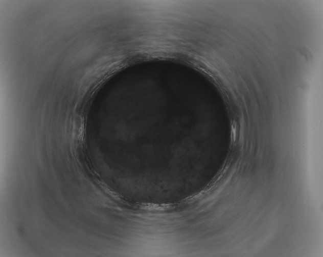 X0000114241251200911061541
