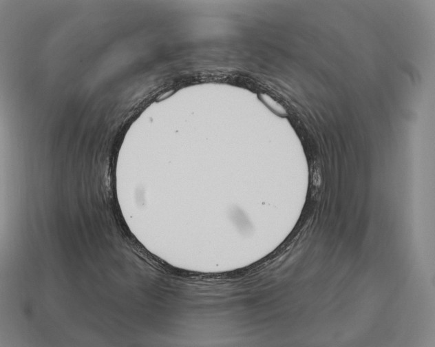 X0000114241252200911061541