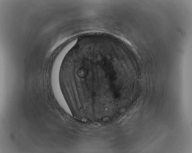 X0000114241255200911061541