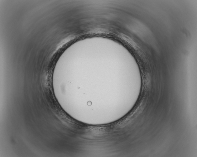 X0000114241258200911061541