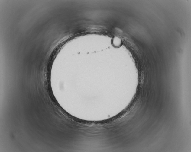 X0000114241261200911061541