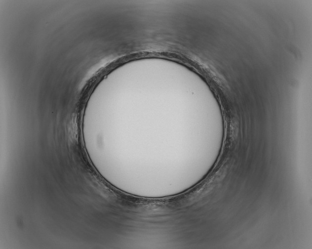 X0000114241262200911061541