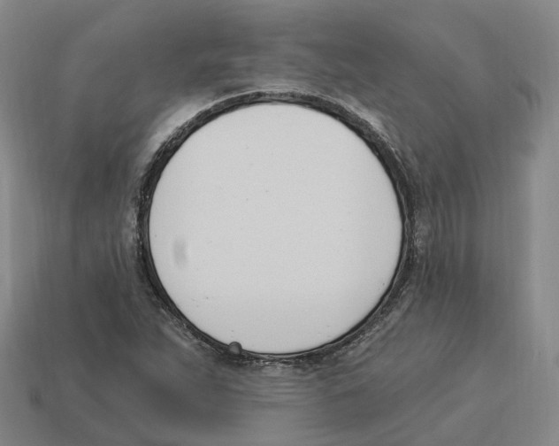 X0000114241263200911061541