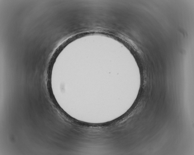 X0000114241264200911061541