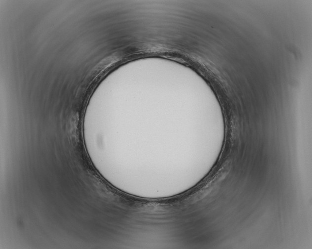 X0000114241265200911061541