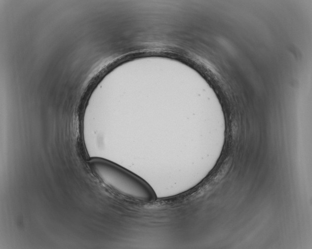 X0000114241267200911061541
