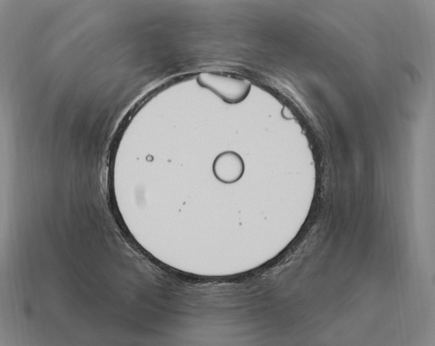 X0000114241268200911061541
