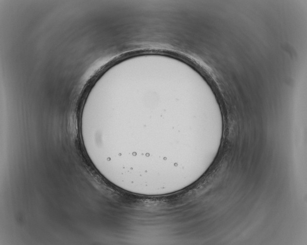 X0000114241271200911061541