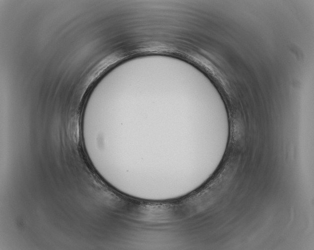 X0000114241274200911061540
