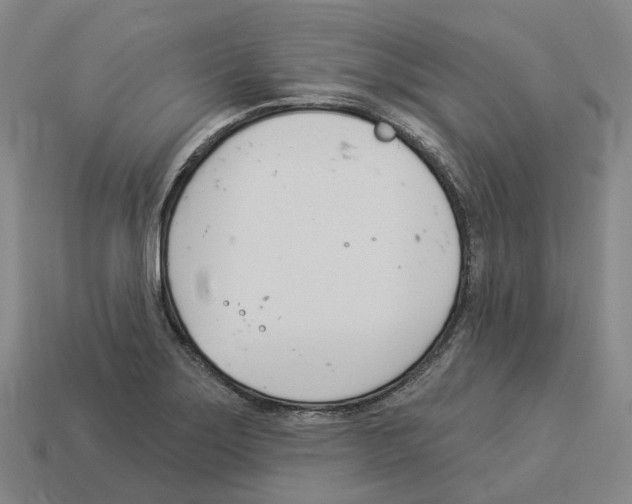 X0000114241275200911061540