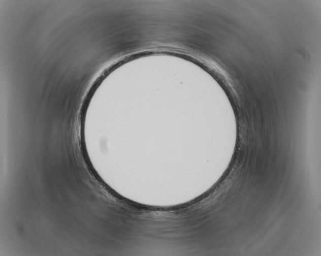 X0000114241280200911061540
