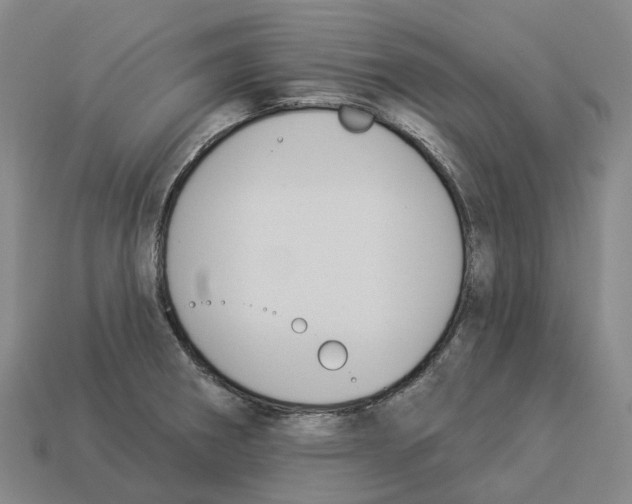 X0000114241282200911061540