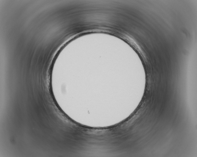 X0000114241284200911061540