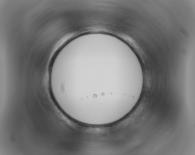 X0000114241286200911061540