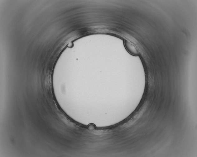 X0000114241289200911061540