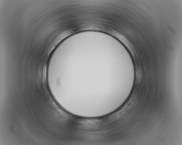 X0000114241290200911061540