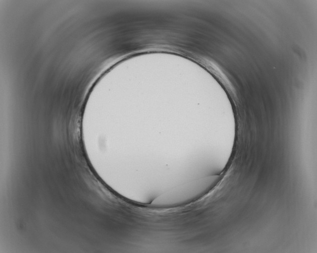 X0000114241292200911061540