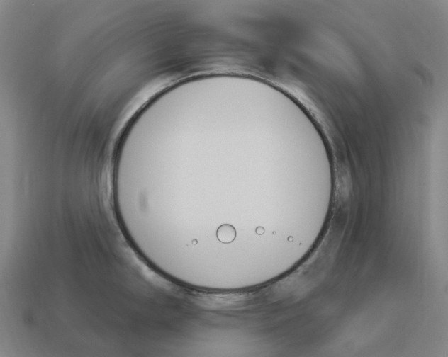 X0000114241294200911061540
