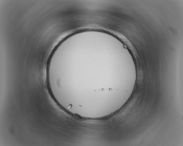 X0000114241295200911061540