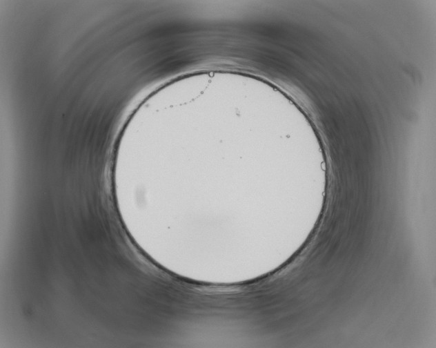 X0000114241296200911061540