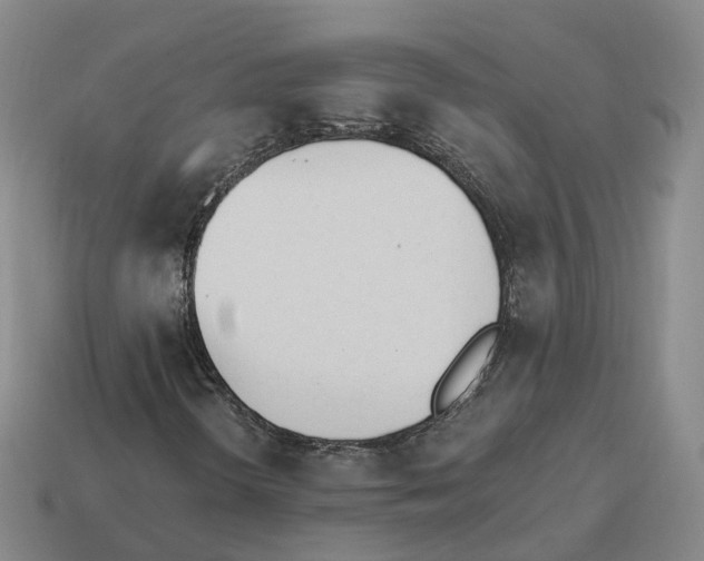X0000114241298200911061539