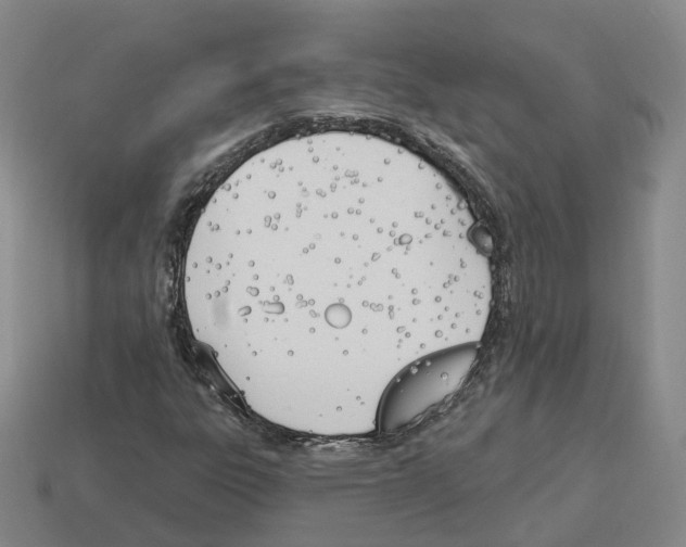 X0000114241303200911061539