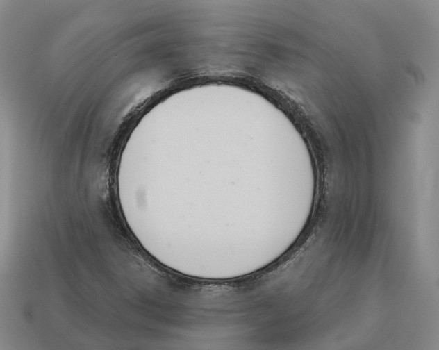 X0000114241306200911061540
