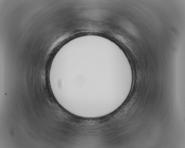 X0000114241307200911061540