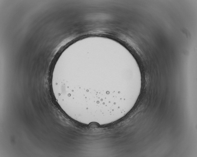 X0000114241308200911061540
