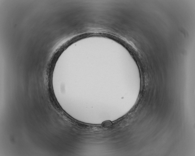 X0000114241311200911061540