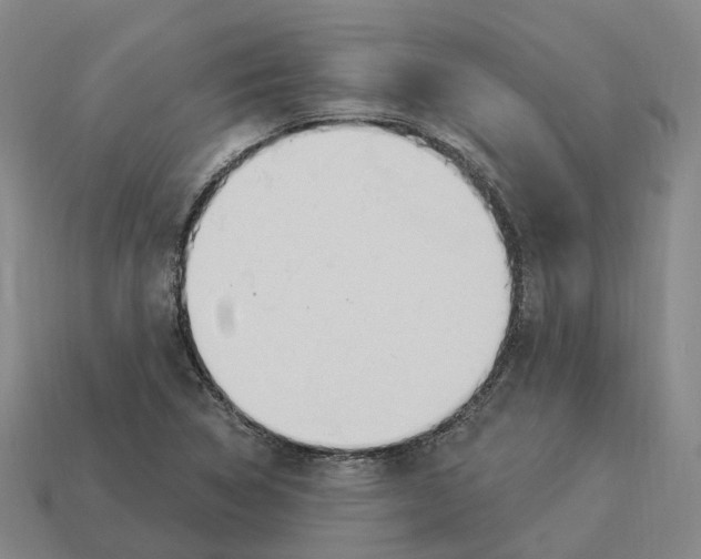 X0000114241314200911061540