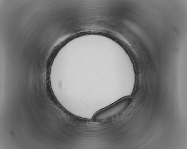 X0000114241315200911061540