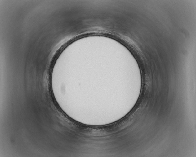 X0000114241318200911061540