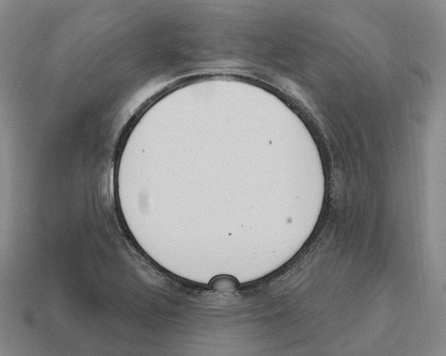 X0000114241320200911061540