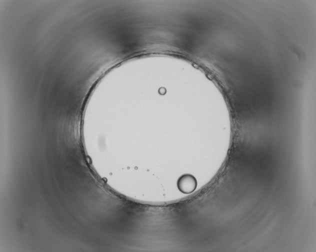 X0000114241322200911061540