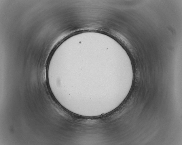 X0000114241324200911061540